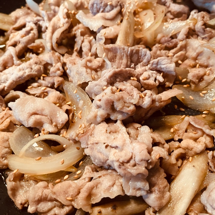 豚肉とごぼう玉ねぎの味噌炒め